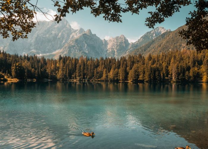 Combining Data Lakes and Data Warehouses