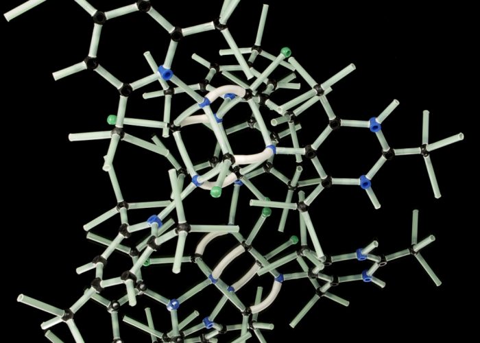 Business Strategies with Genetic Algorithms