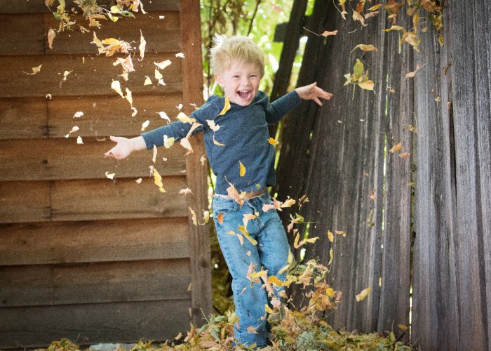 From Pranks to Profit with GAN